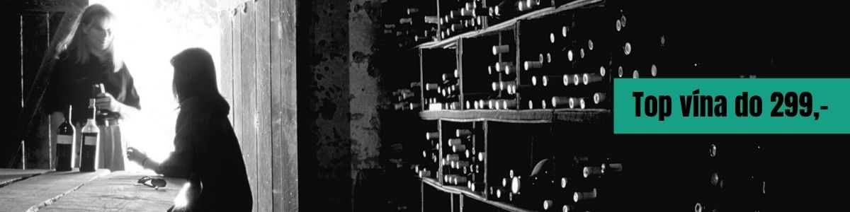 Top vína do 299 úzký header